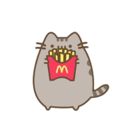 Pusheen McDonalds PNG