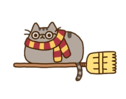 Pusheen Harry Potter PNG