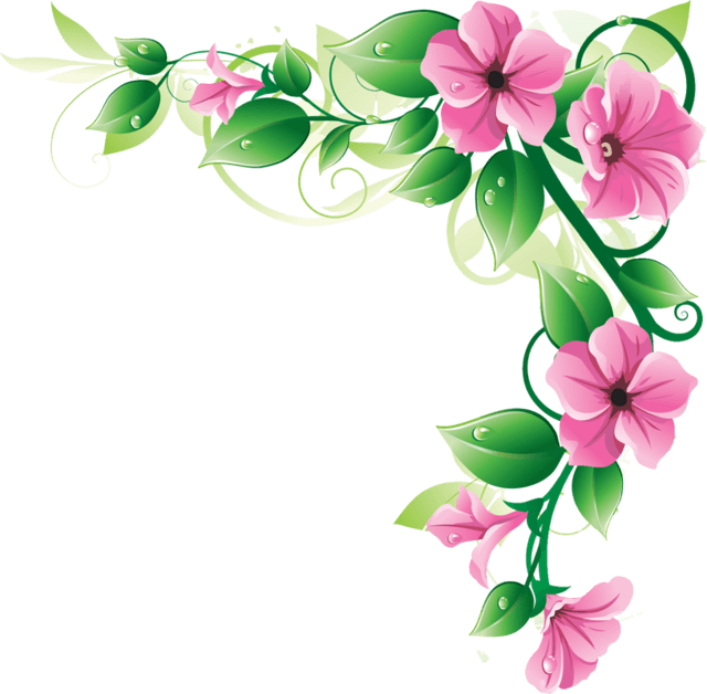 Flowers Corner Frame PNG